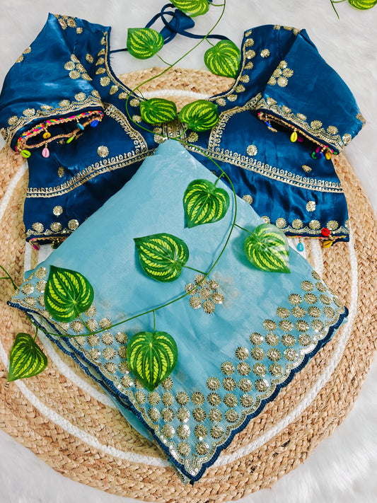 Luxury Sky Blue Organza Saree with Royal Blue Designer Blouse & Floral Zari Embroidery